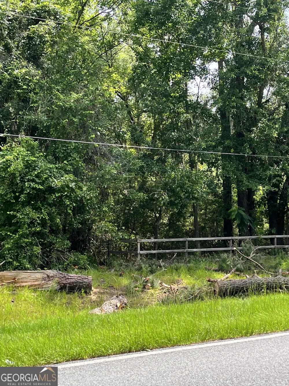 0 Sandy Run RD Riceboro, GA 31323