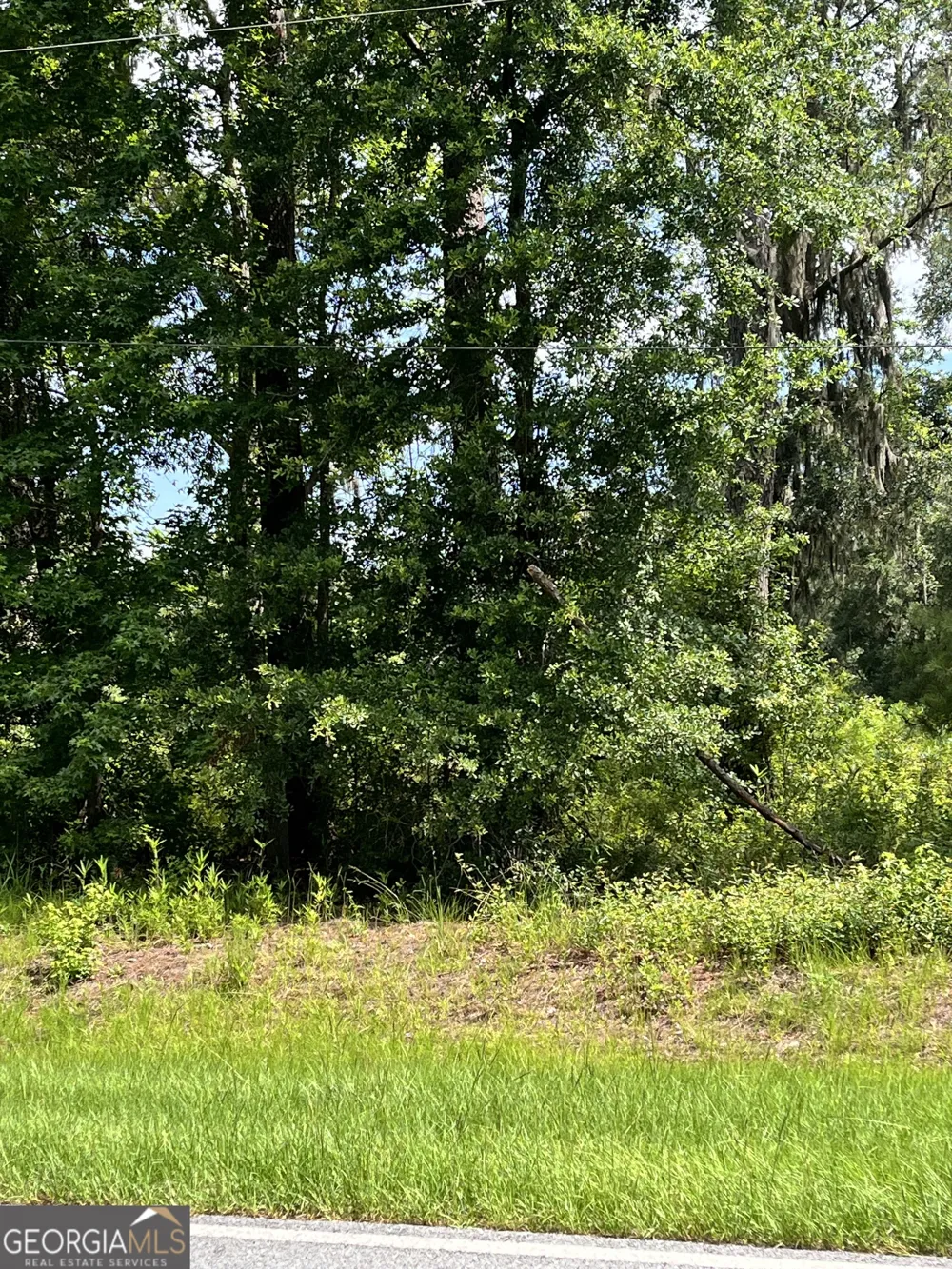 0 Sandy Run RD Riceboro, GA 31323