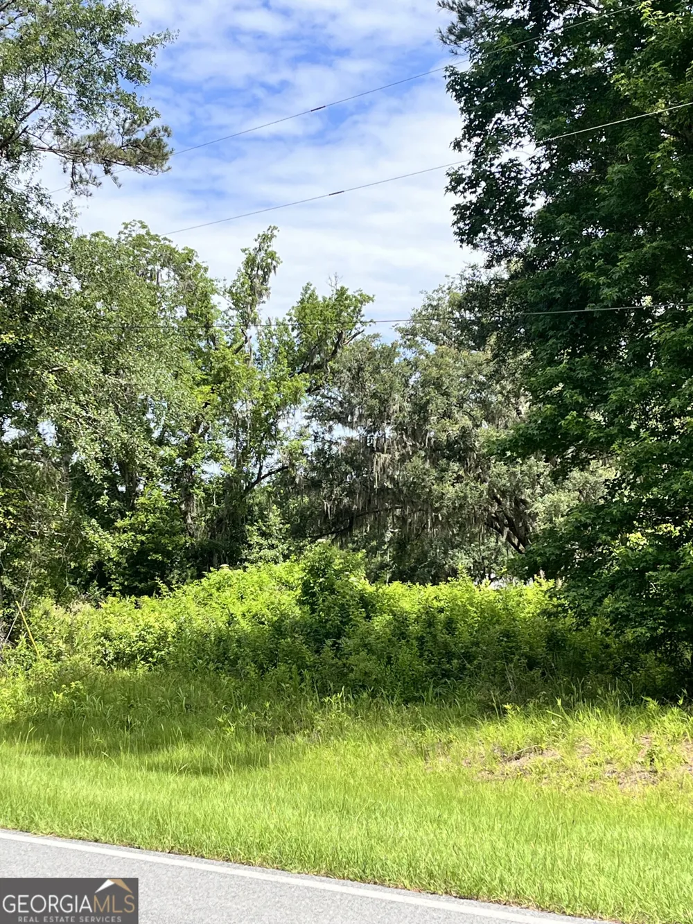 0 Sandy Run RD Riceboro, GA 31323