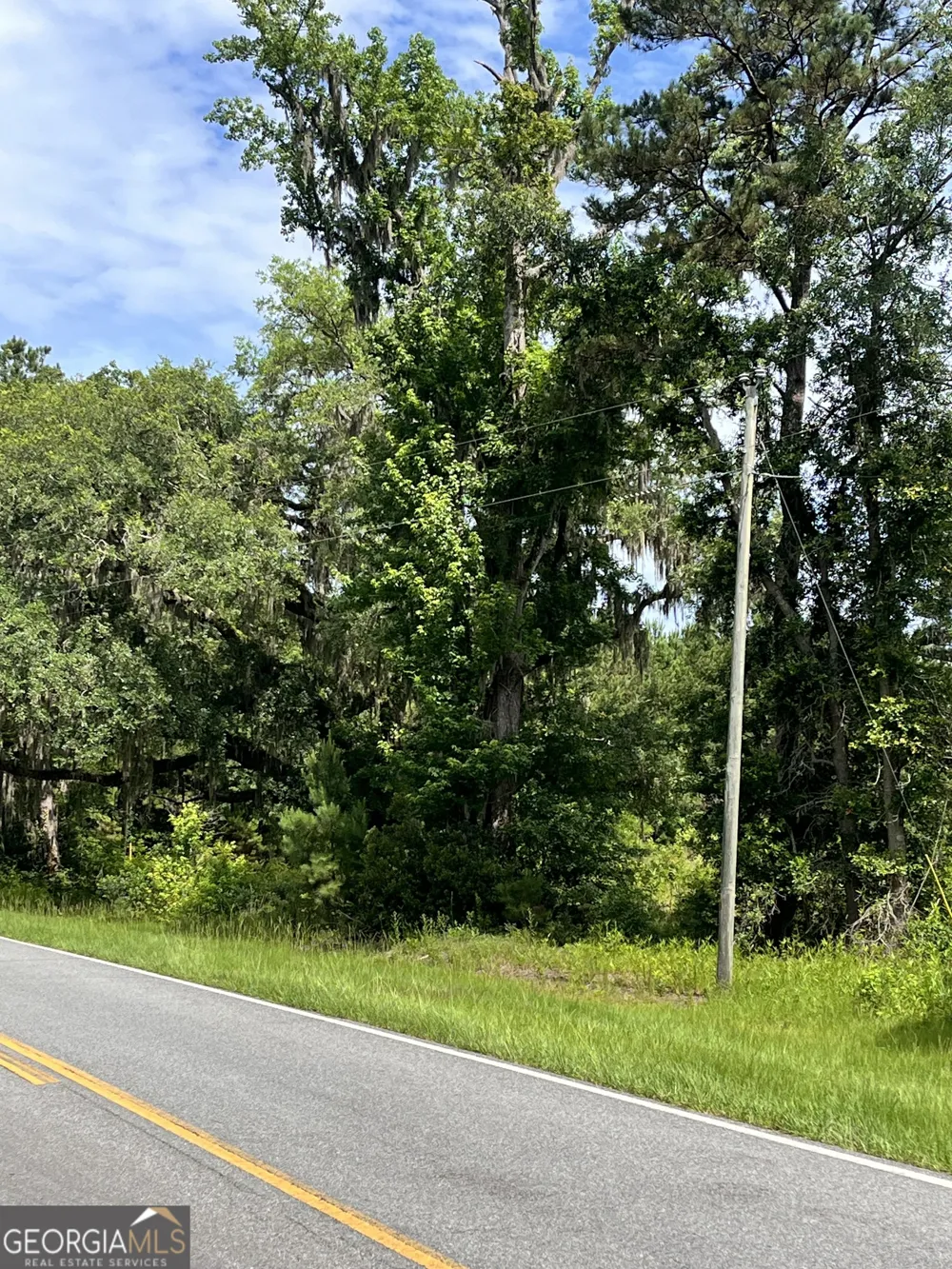 0 Sandy Run RD Riceboro, GA 31323