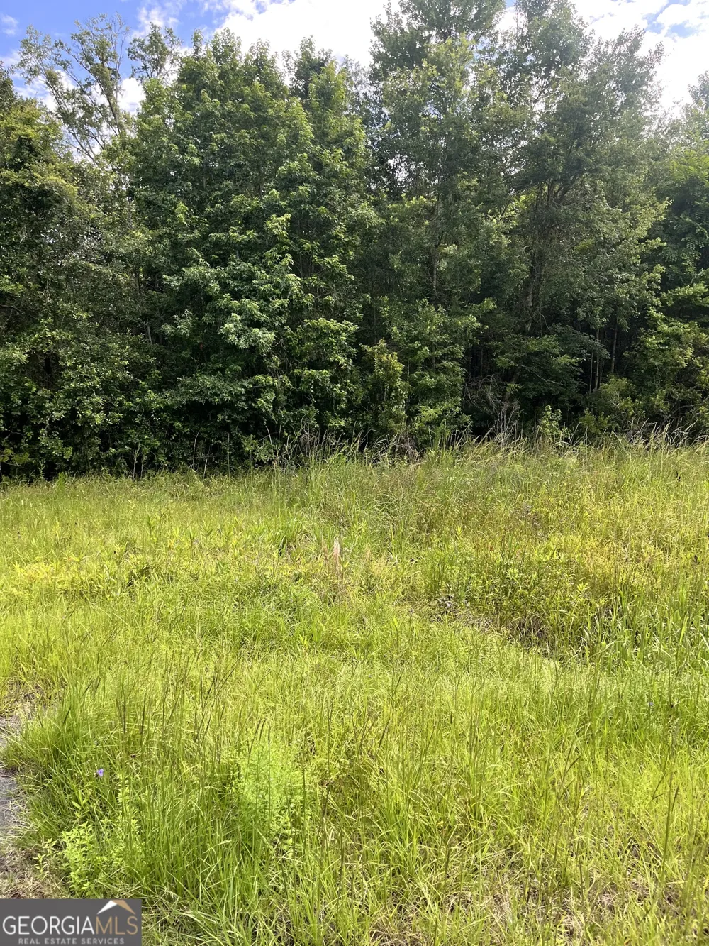 0 Oglethorpe East HWY Midway, GA 31320