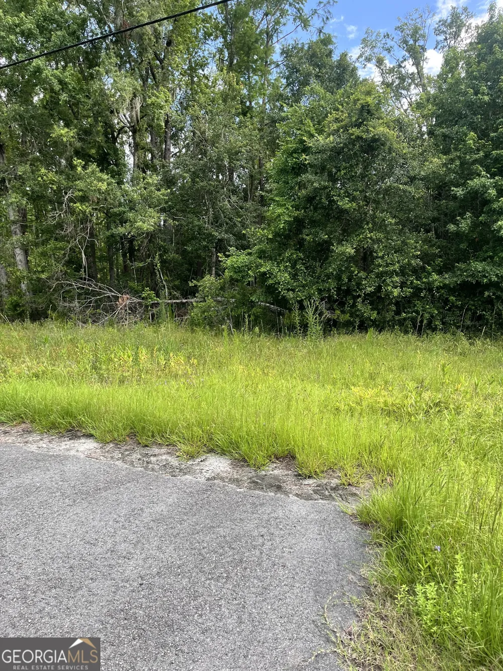 0 Oglethorpe East HWY Midway, GA 31320