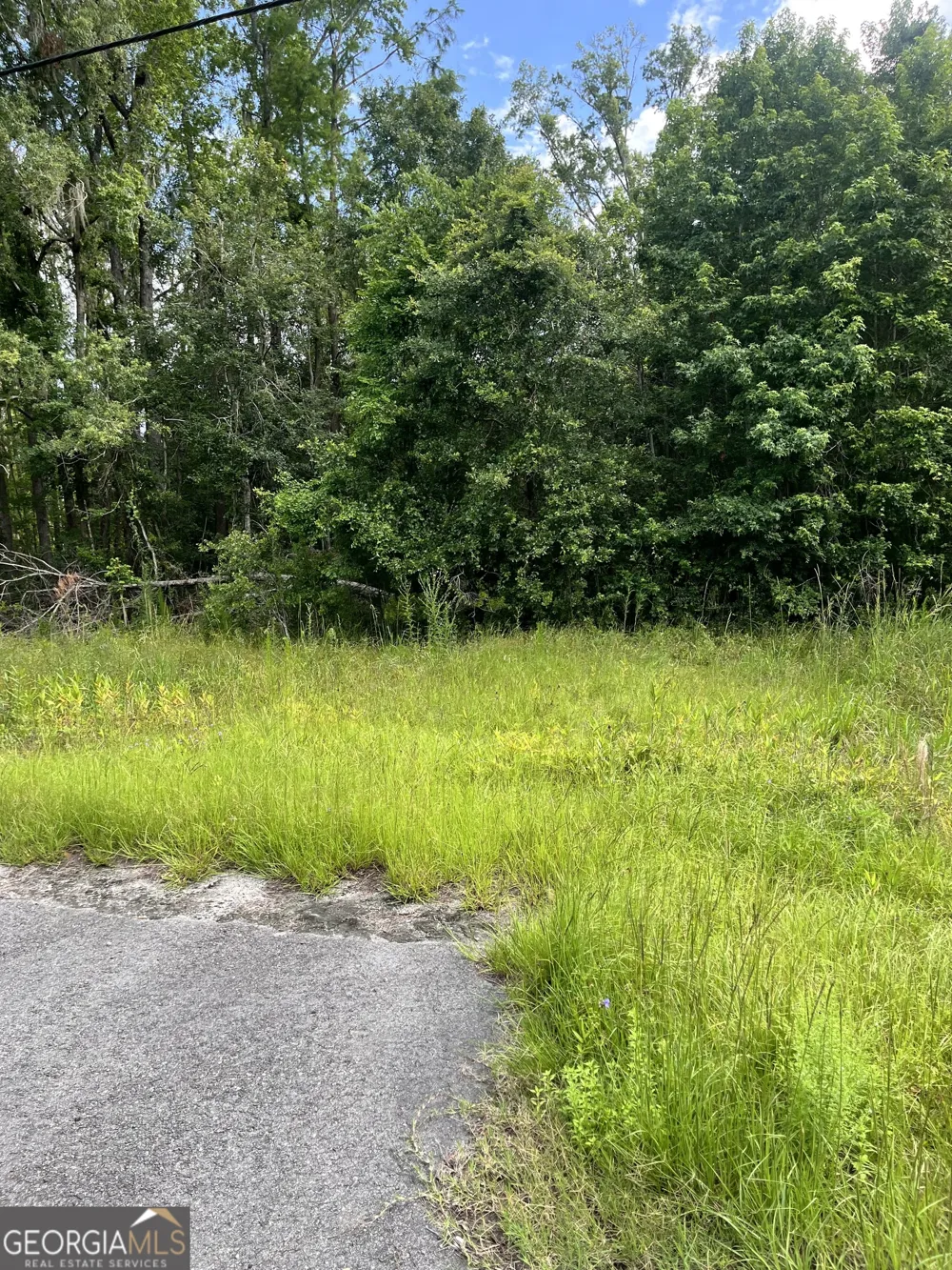 0 Oglethorpe East HWY Midway, GA 31320