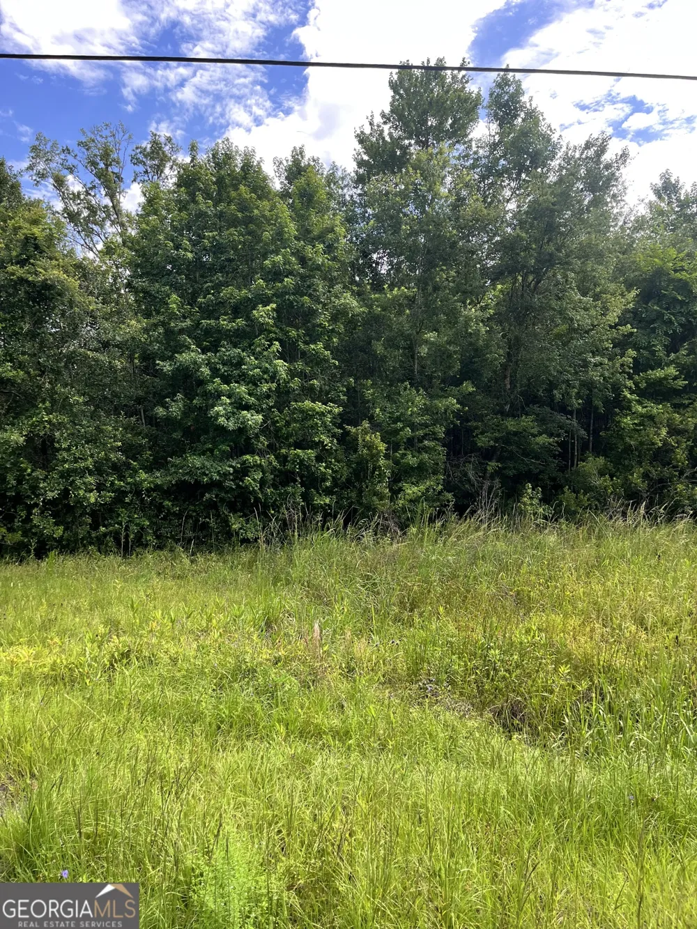 0 Oglethorpe East HWY Midway, GA 31320