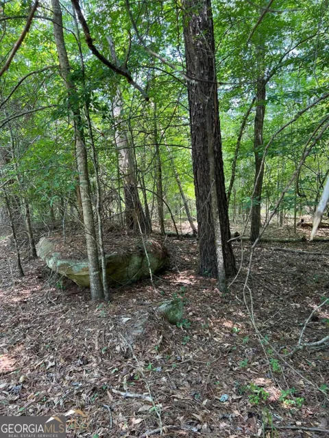 0 Crooked Creek Bay RD