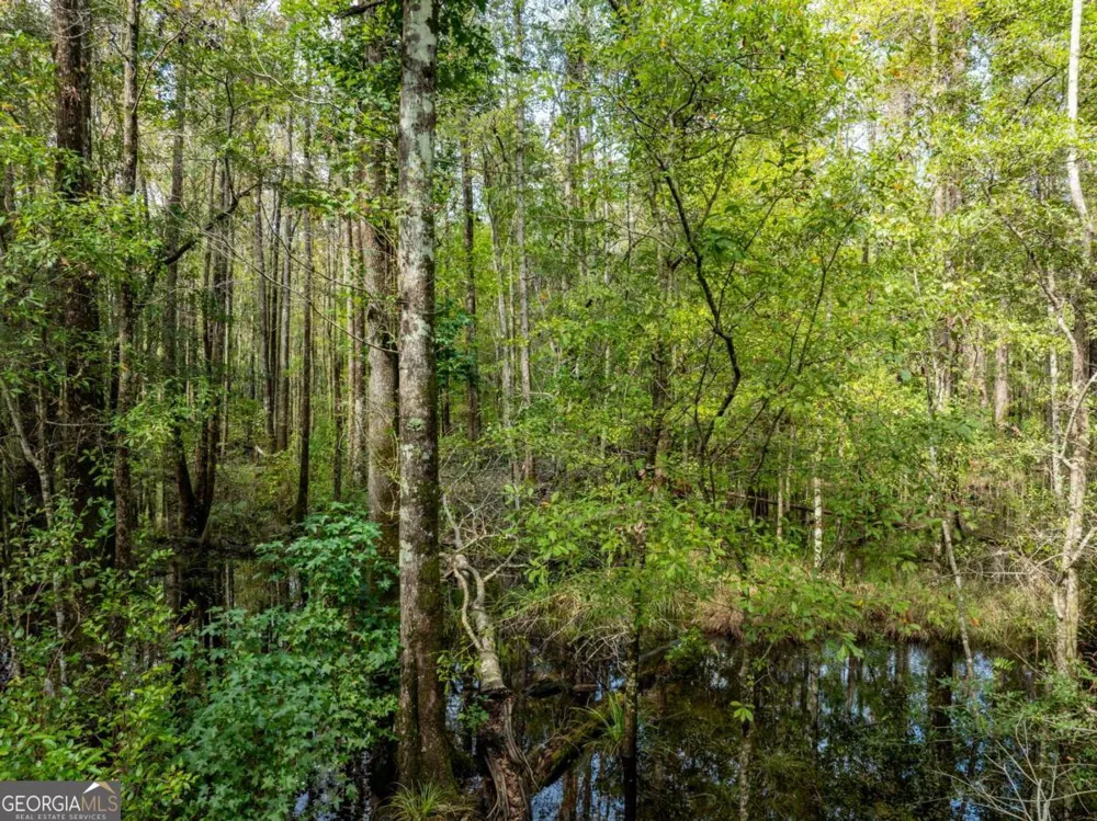 0 Hodgeville RD Rincon, GA 31326