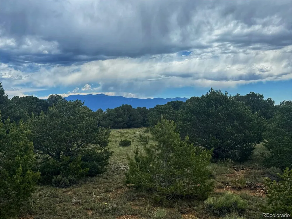 106 Colorado Land & Grazing Walsenburg, CO 81089