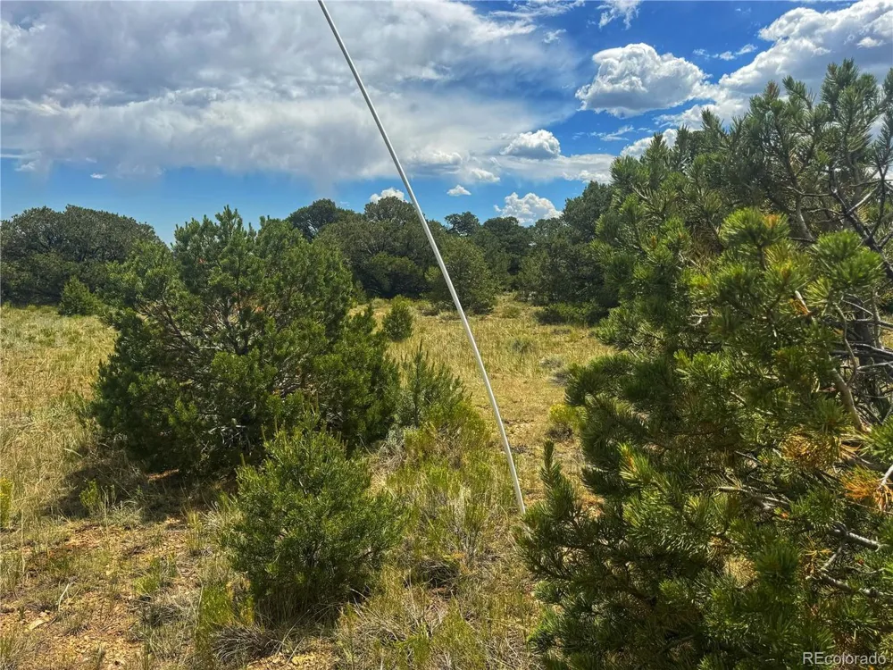 106 Colorado Land & Grazing Walsenburg, CO 81089