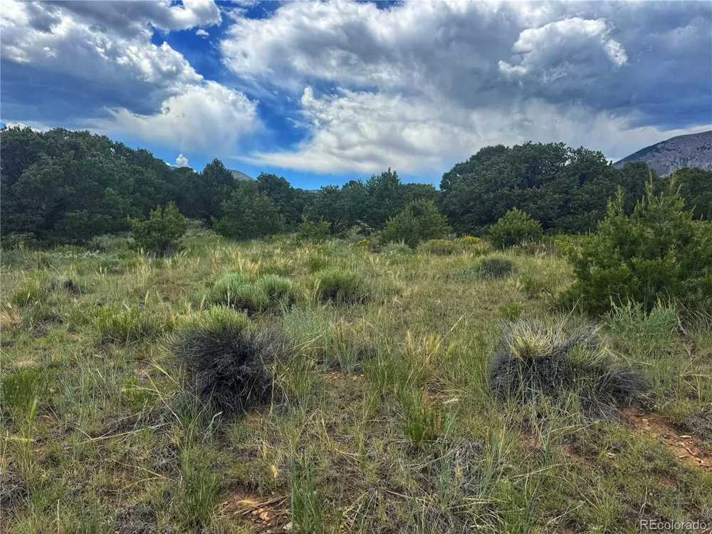 106 Colorado Land & Grazing Walsenburg, CO 81089