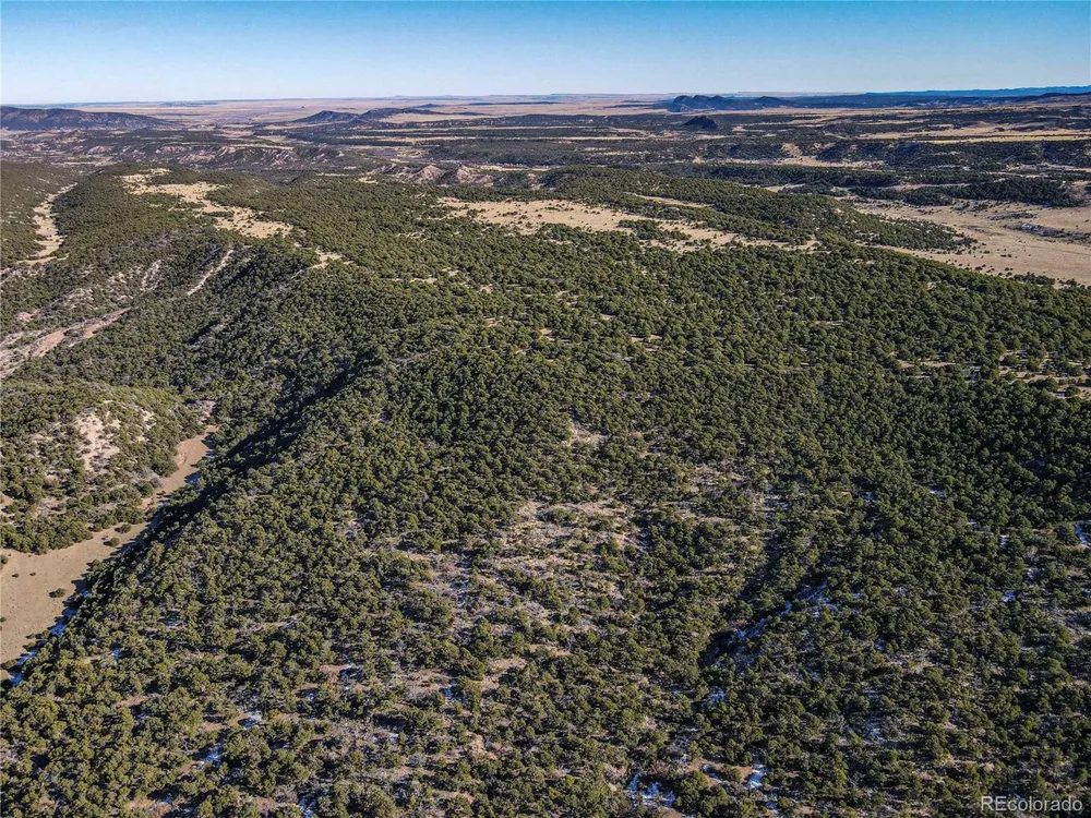 106 Colorado Land & Grazing Walsenburg, CO 81089