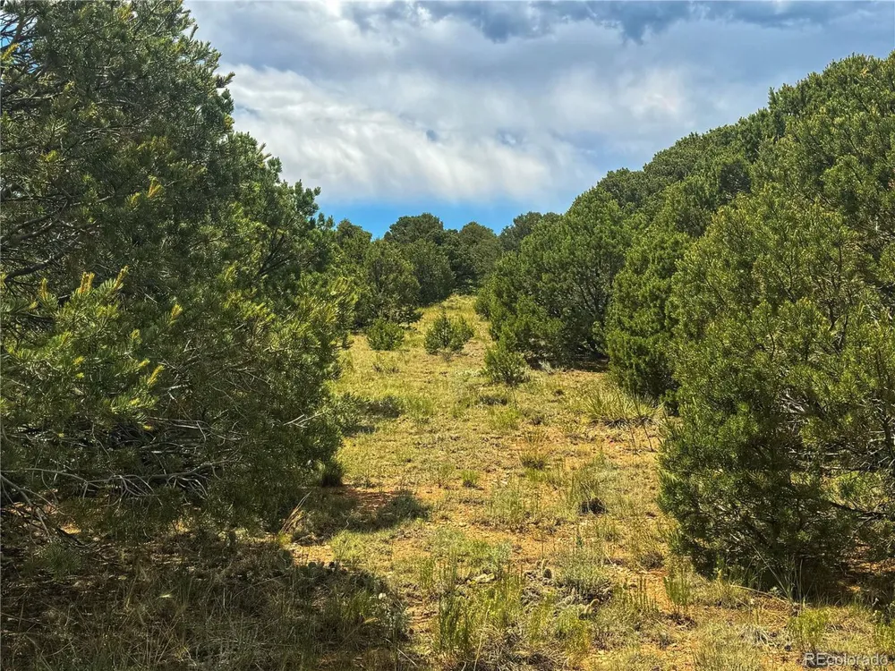 106 Colorado Land & Grazing Walsenburg, CO 81089
