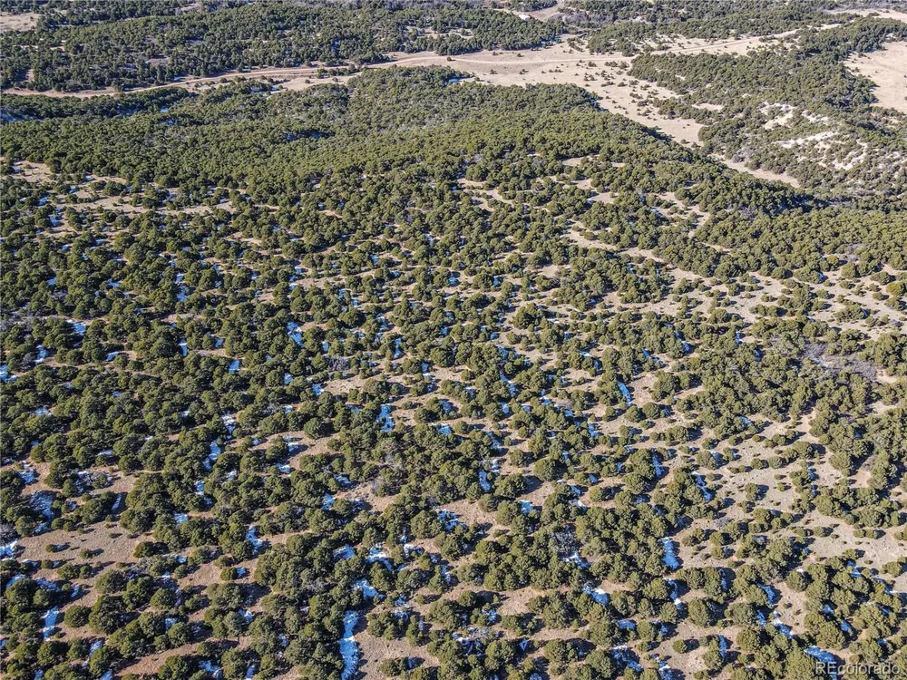 106 Colorado Land & Grazing Walsenburg, CO 81089