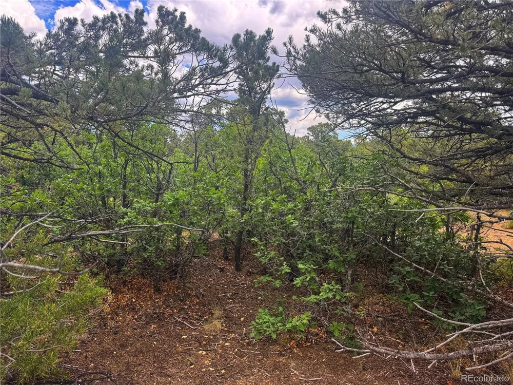 106 Colorado Land & Grazing Walsenburg, CO 81089