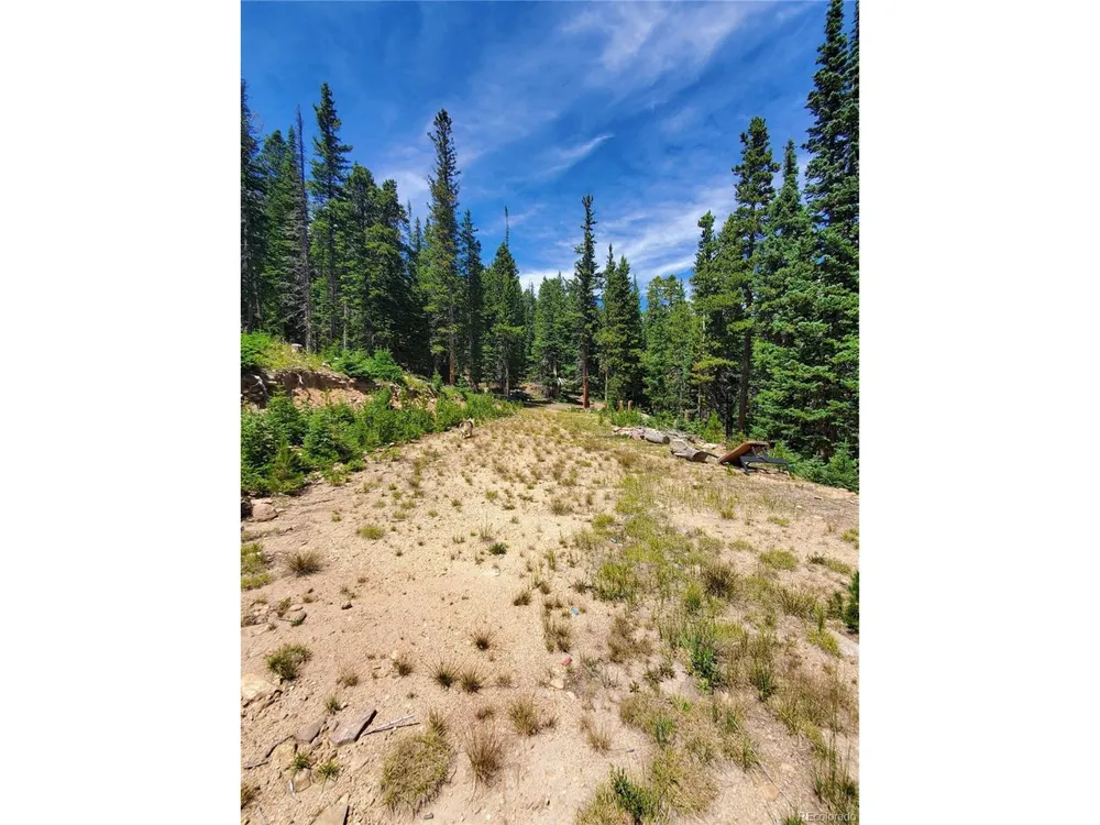 1 S Spring Gulch Road Idaho Springs, CO 80452