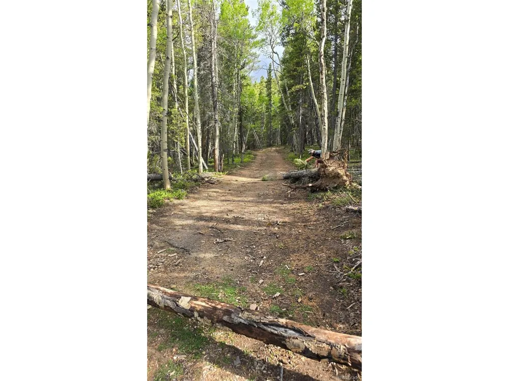 1 S Spring Gulch Road Idaho Springs, CO 80452