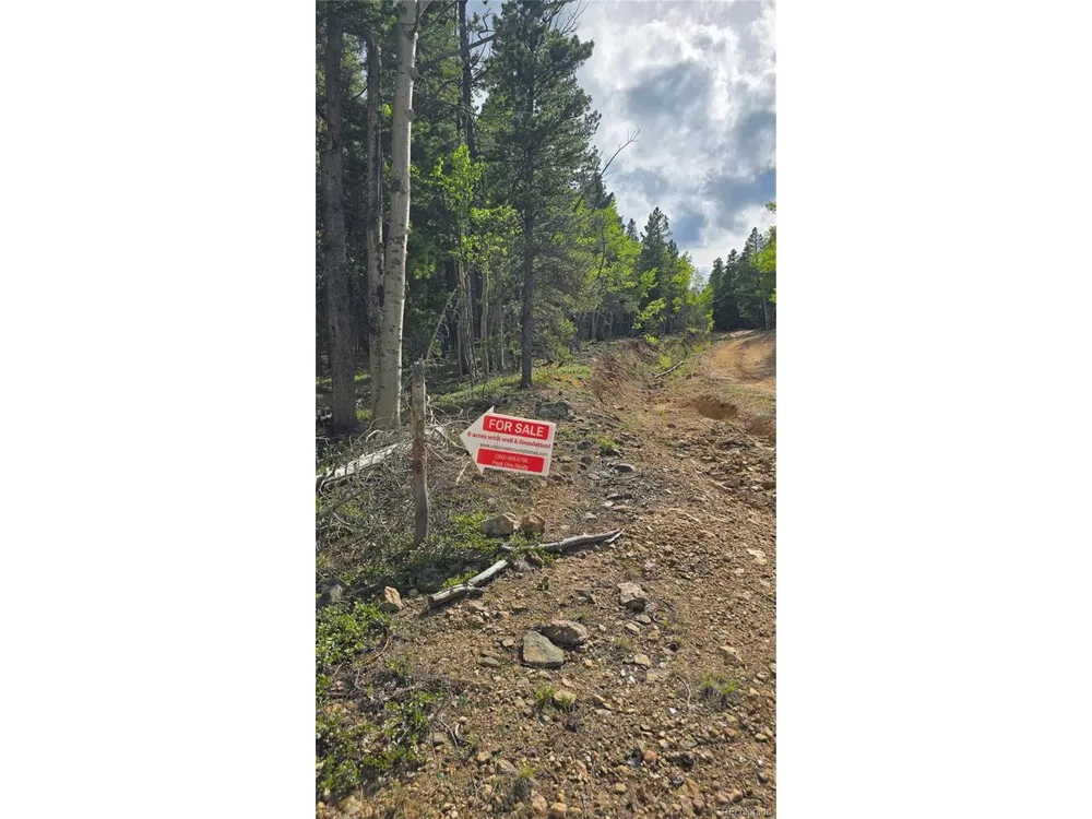 1 S Spring Gulch Road Idaho Springs, CO 80452
