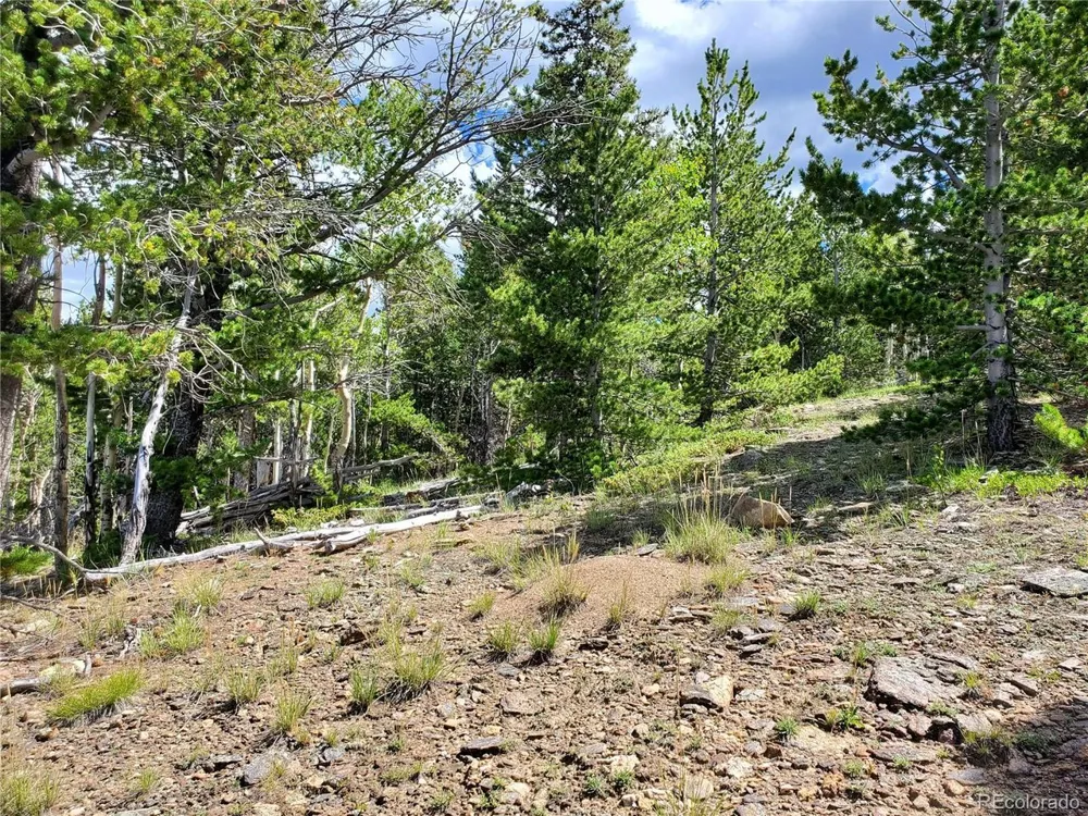 1 S Spring Gulch Road Idaho Springs, CO 80452