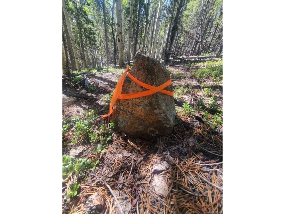 1 S Spring Gulch Road Idaho Springs, CO 80452