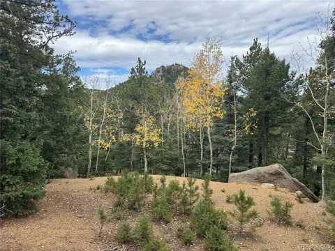 316 Summit Ridge