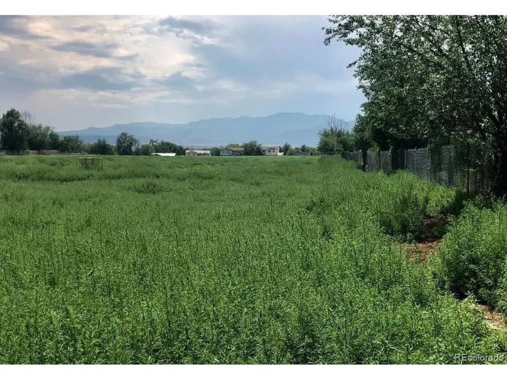 1355 Fountain Mesa Road Fountain, CO 80817
