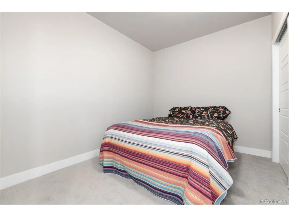 20 Wilcox #503 Castle Rock, CO 80104