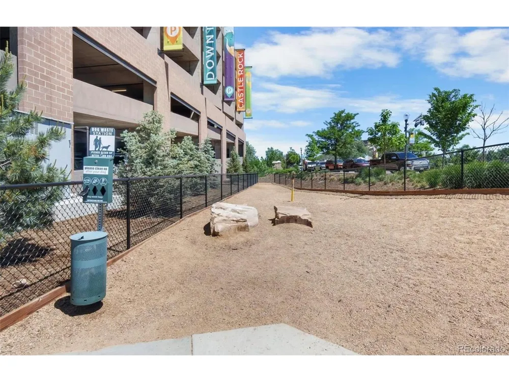 20 Wilcox #503 Castle Rock, CO 80104