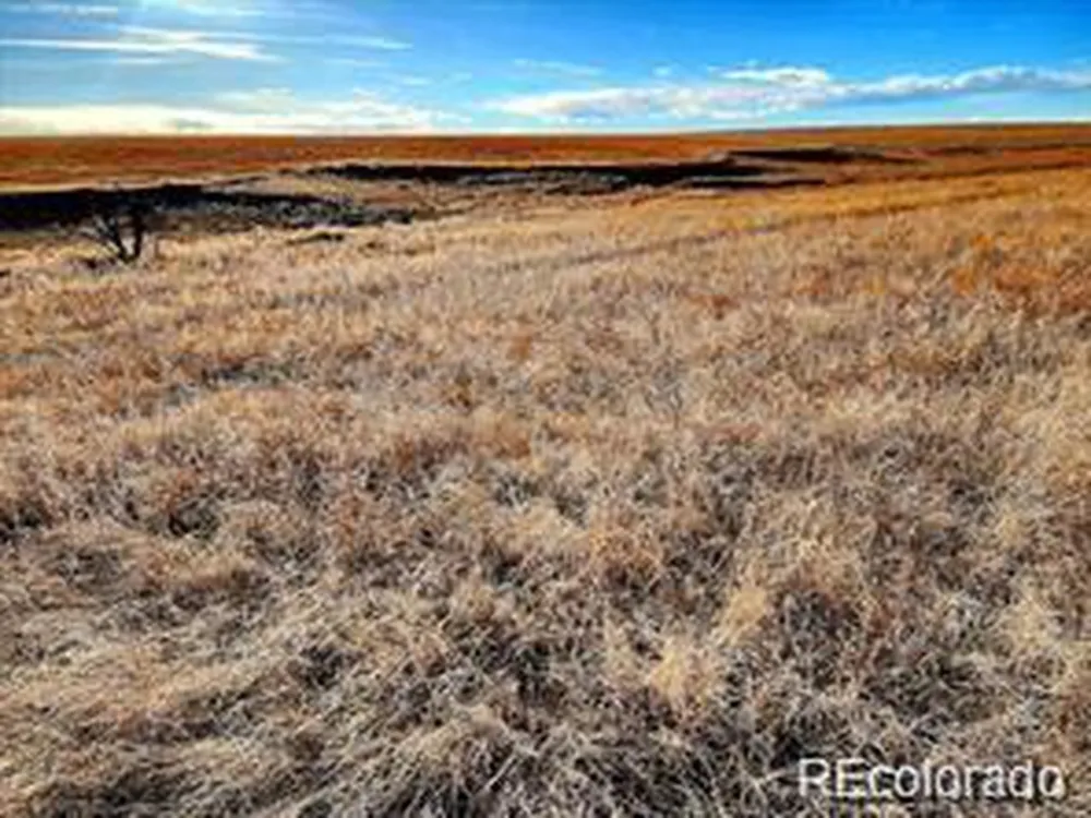 9175 Prospect Way Road Byers, CO 80103