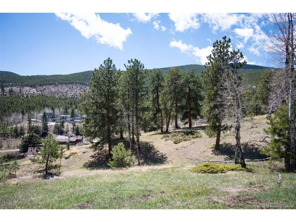 TBD Pine Valley Road Evergreen, CO 80439