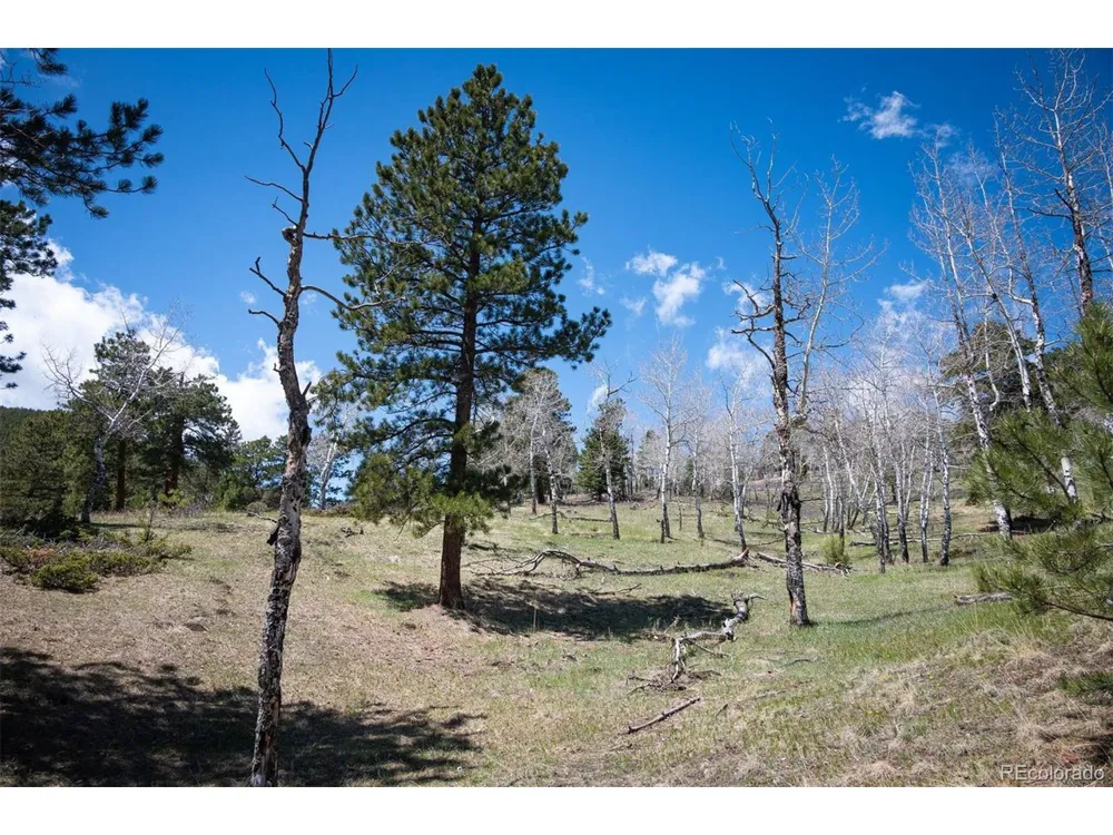 TBD Pine Valley Road Evergreen, CO 80439