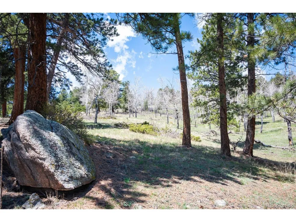 TBD Pine Valley Road Evergreen, CO 80439