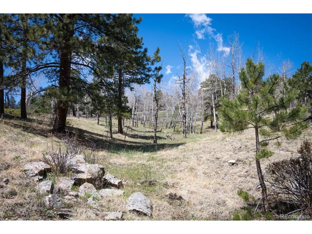 TBD Pine Valley Road Evergreen, CO 80439