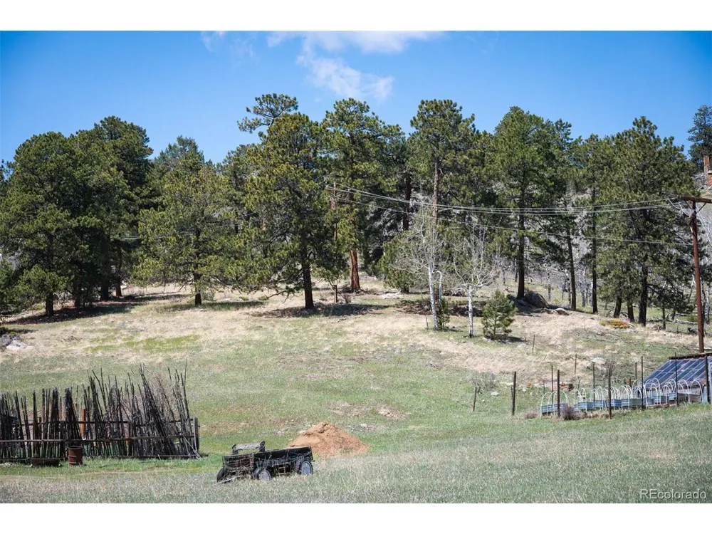 TBD Pine Valley Road Evergreen, CO 80439