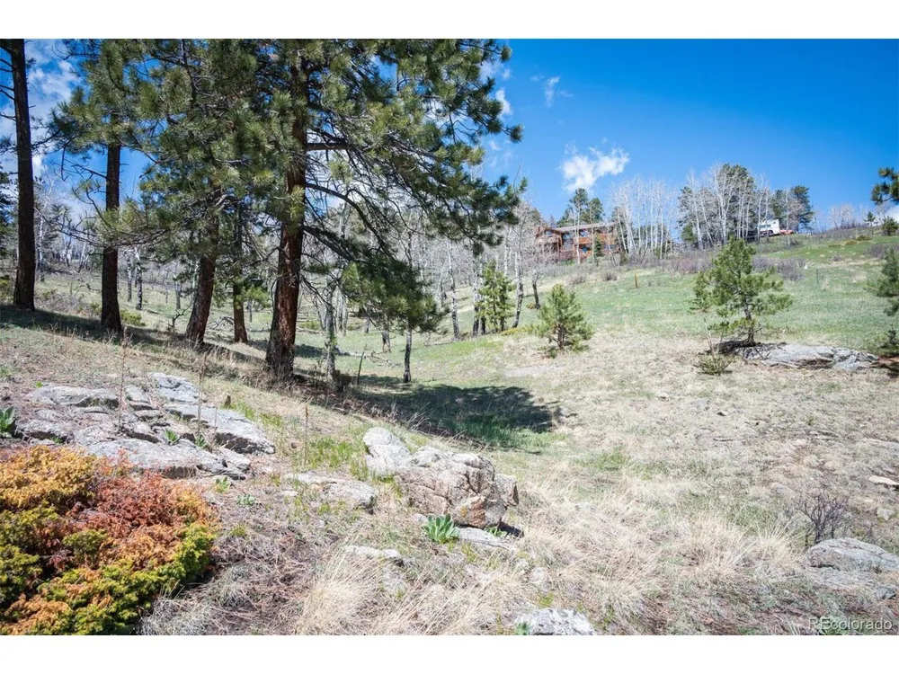 TBD Pine Valley Road Evergreen, CO 80439