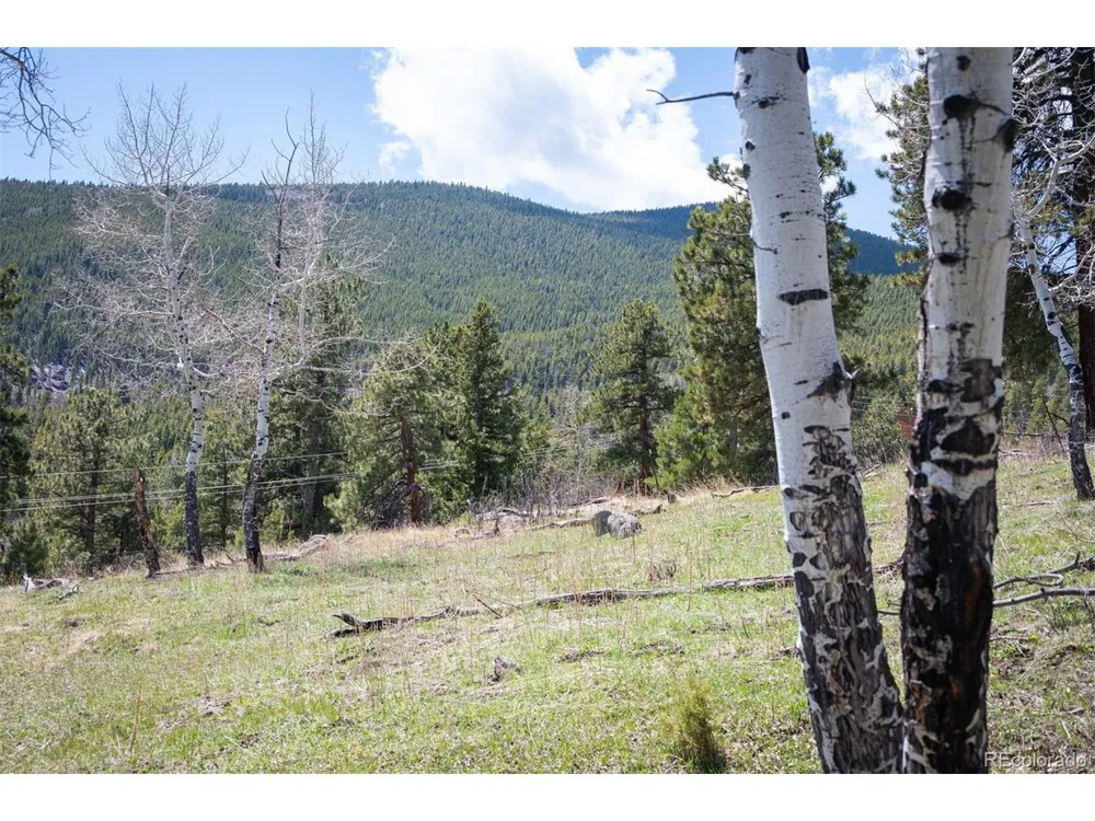 TBD Pine Valley Road Evergreen, CO 80439