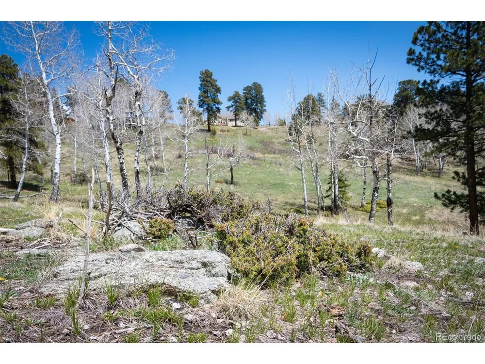 TBD Pine Valley Road Evergreen, CO 80439