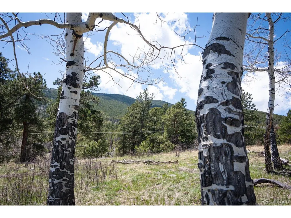 TBD Pine Valley Road Evergreen, CO 80439