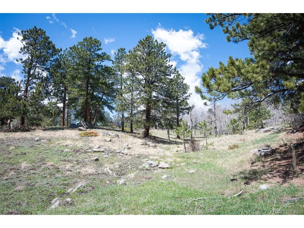 TBD Pine Valley Road Evergreen, CO 80439