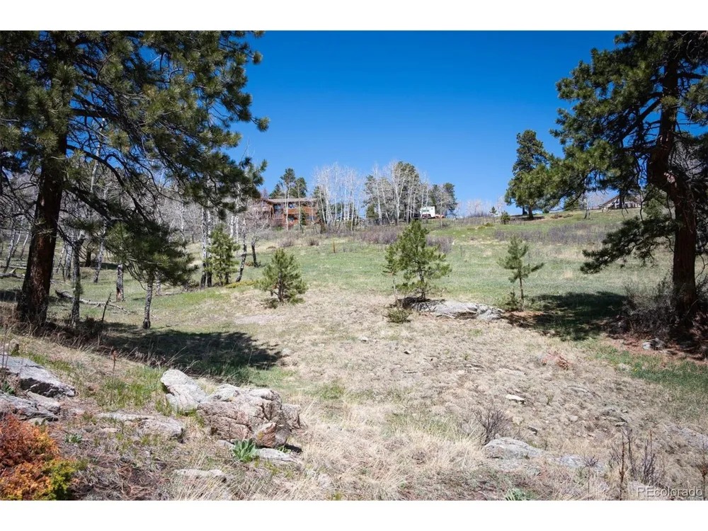 TBD Pine Valley Road Evergreen, CO 80439