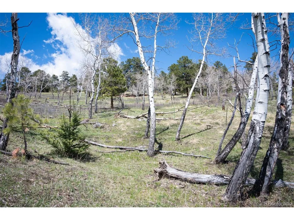 TBD Pine Valley Road Evergreen, CO 80439