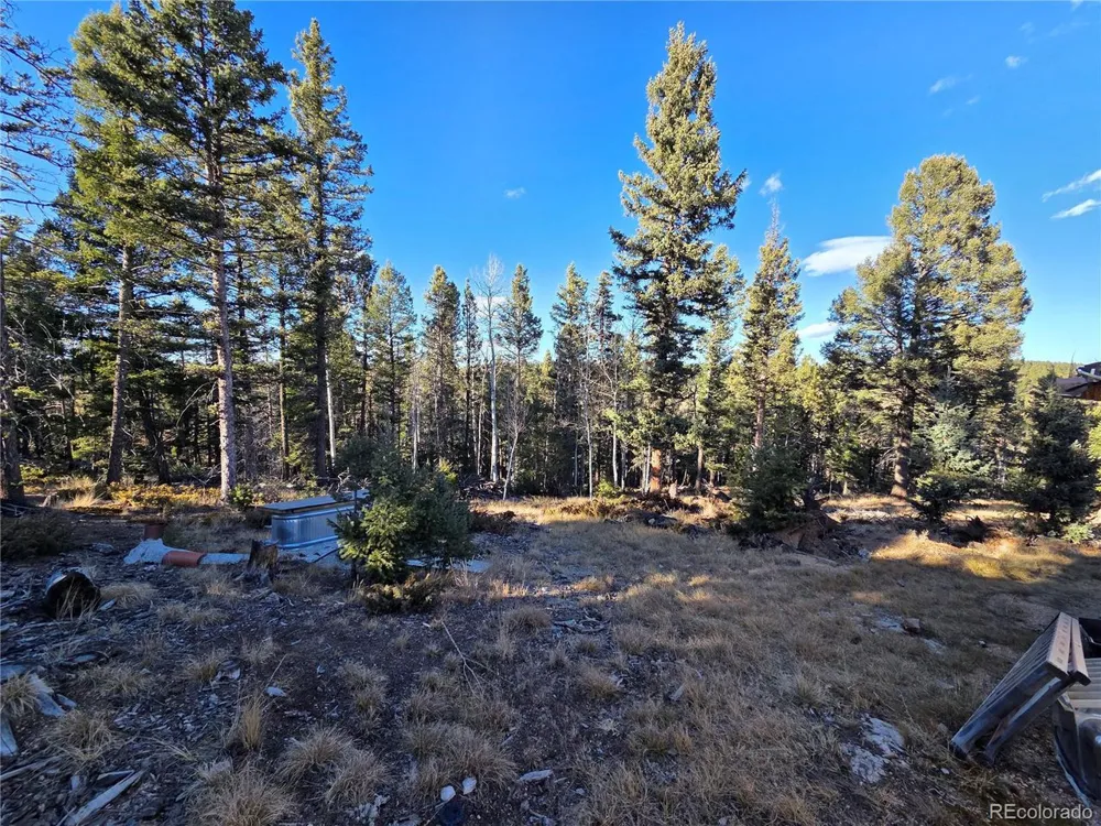 1434 Blue Mesa Drive Divide, CO 80814