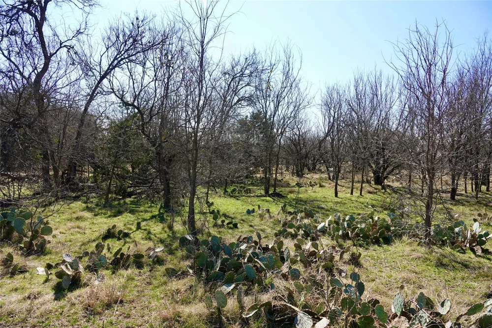 981 W Hwy 84 Mullin, TX 76864