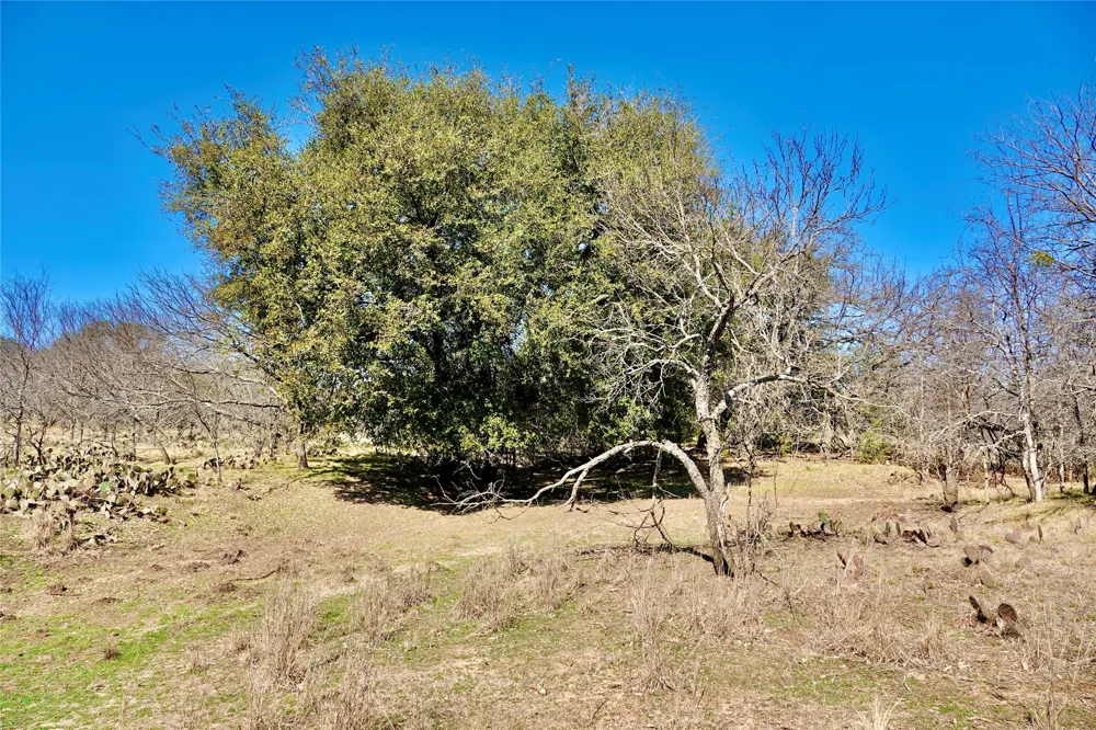 981 W Hwy 84 Mullin, TX 76864