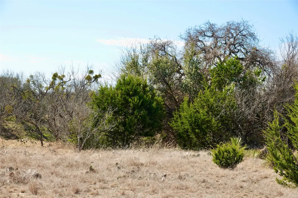 981 W Hwy 84 Mullin, TX 76864
