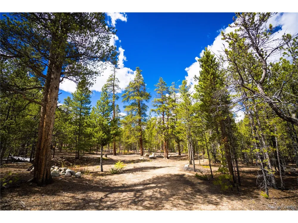 247 Juniper Drive Twin Lakes, CO 80461