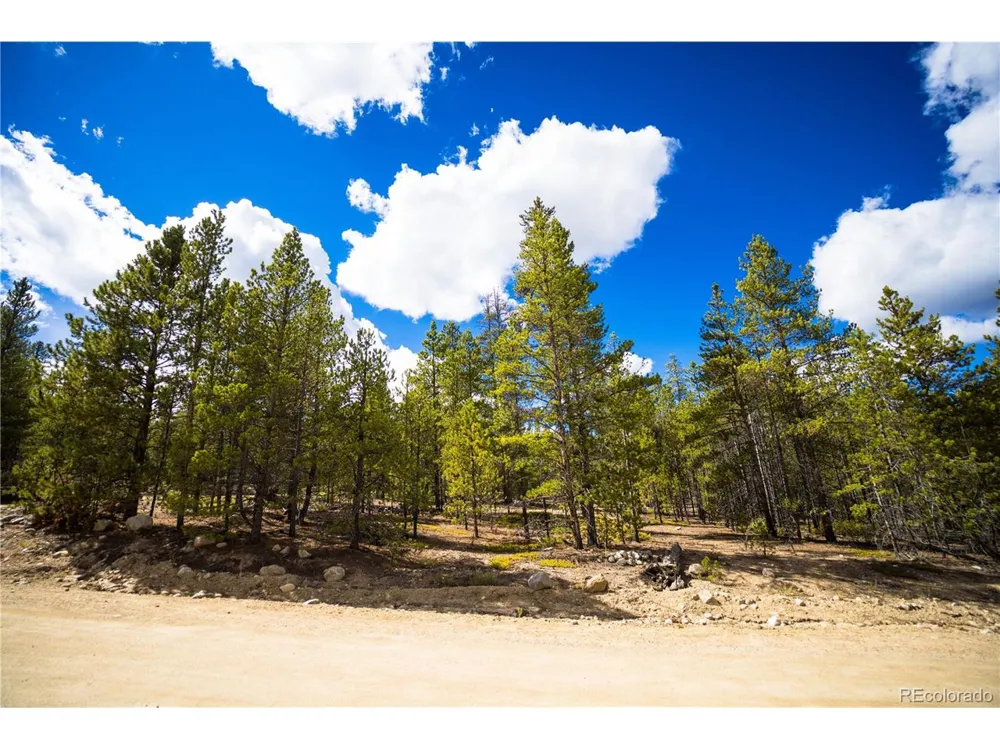 247 Juniper Drive Twin Lakes, CO 80461