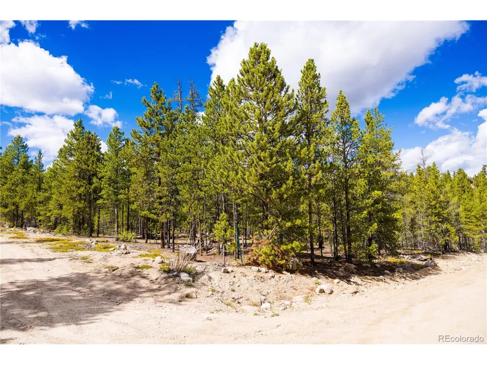 247 Juniper Drive Twin Lakes, CO 80461