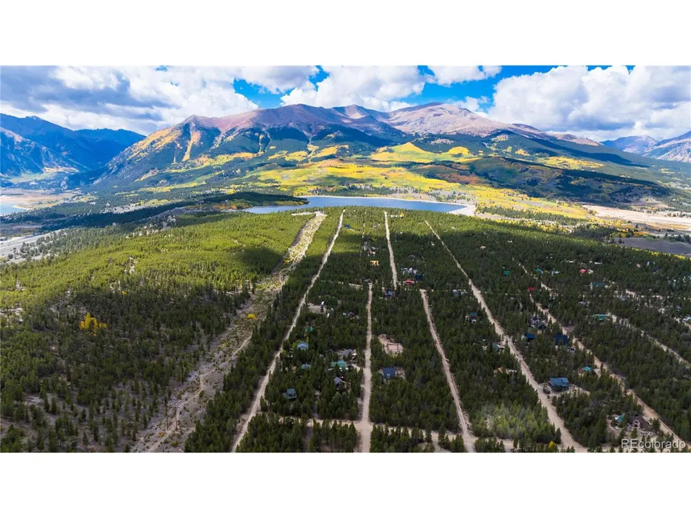 247 Juniper Drive Twin Lakes, CO 80461