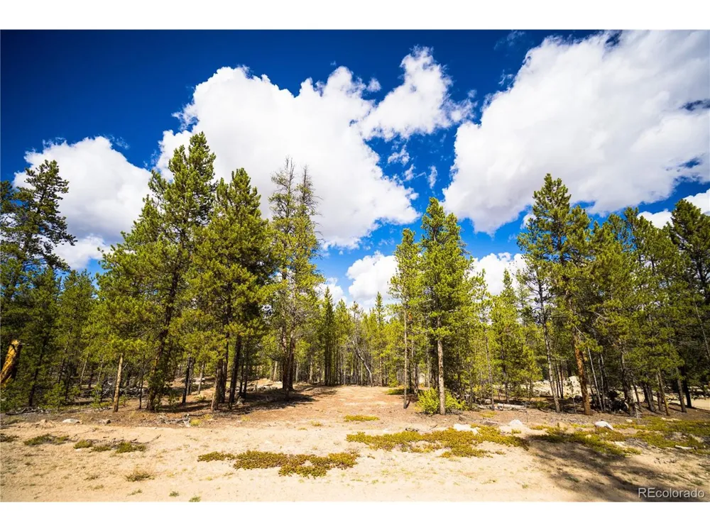 247 Juniper Drive Twin Lakes, CO 80461