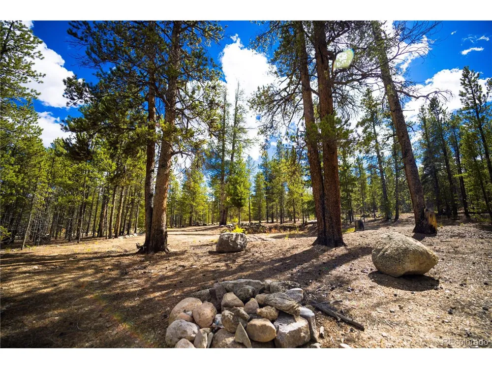 247 Juniper Drive Twin Lakes, CO 80461