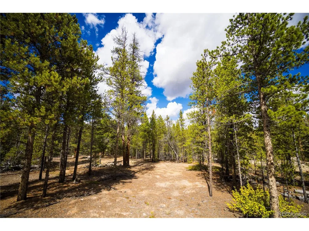 247 Juniper Drive Twin Lakes, CO 80461